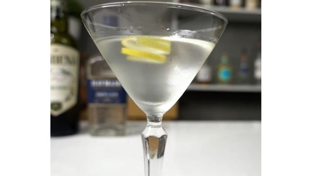 GIN AND VERMOUTH RECIPE
