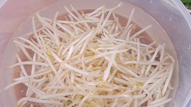 Sprouts Soaking