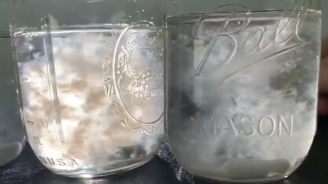 Light Malt Extract Liquid Culture Recipe