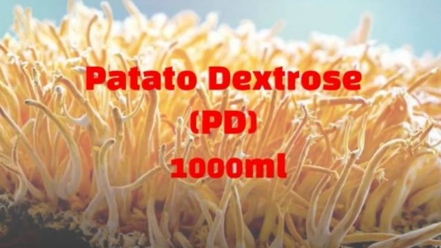 Potato Dextrose liquid Culture Recipe