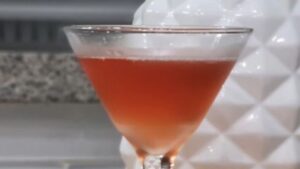 2 Best Purple Hooter Drink Recipe (Martini And Shot)