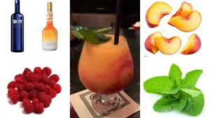 4 Best Georgia Peach Drink Recipe - Cheesecake Factory, Southern Comfort, Gin, And Vodka 360