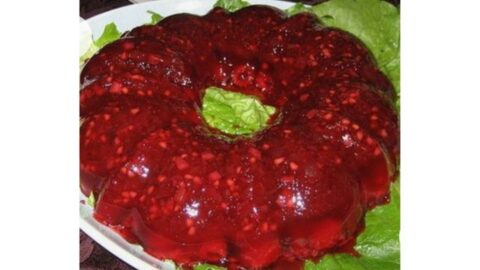 Brenda Gantt Cranberry Mold Recipe